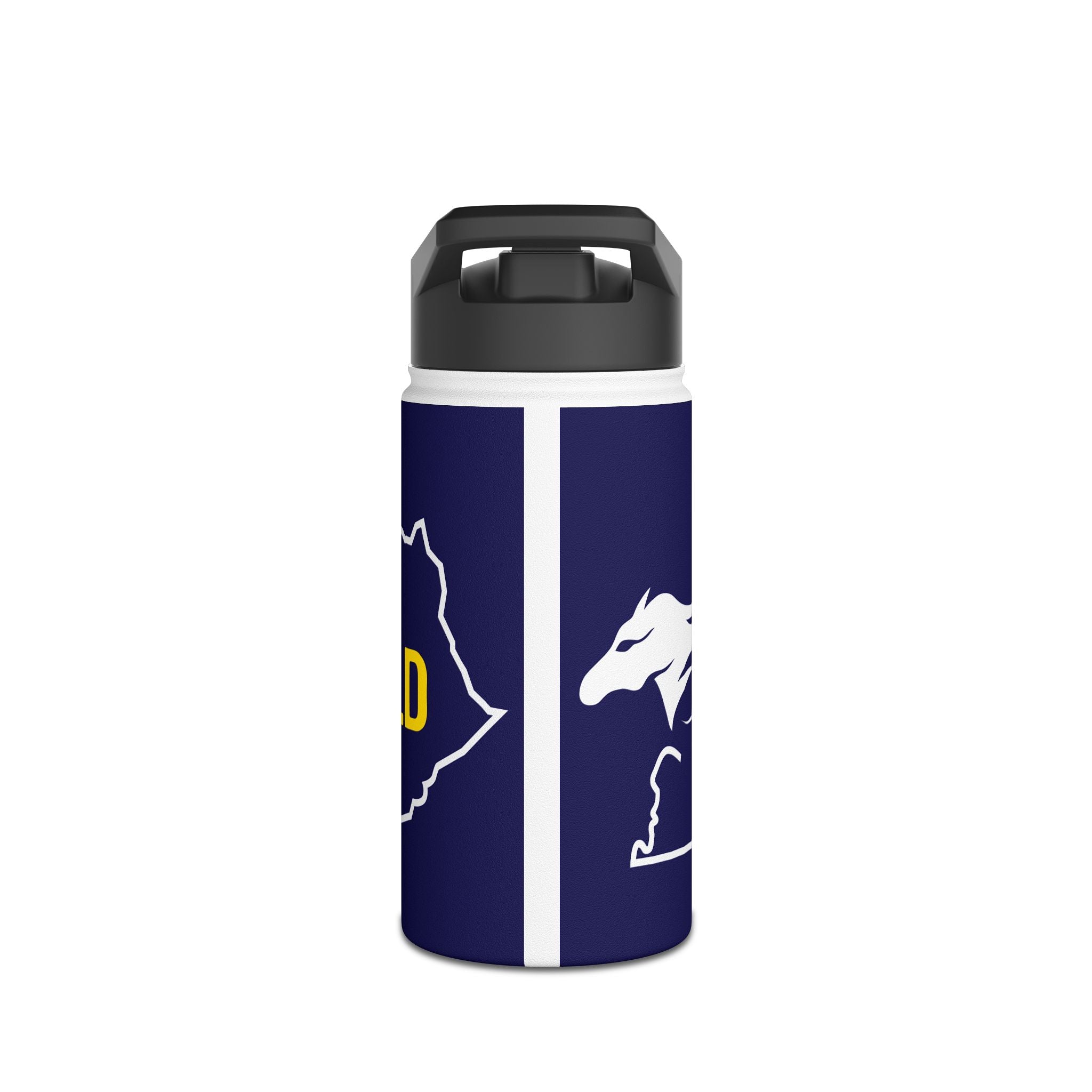 Stainless Steel Water Bottle, Standard Lid